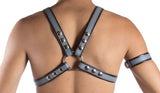 1" SNAP HARNESS - GRAY
