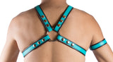 1" SNAP HARNESS - TURQUOISE