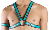 1" SNAP HARNESS - TURQUOISE