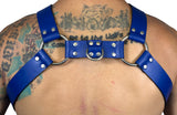 BULLDOG 1 1/4" HARNESS: BLUE