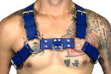 BULLDOG 1 1/4" HARNESS: BLUE