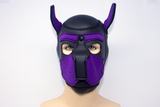 Puppy Neoprene Hood Purple