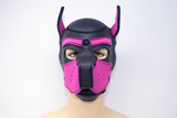 Puppy Neoprene Hood Pink