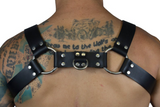 BULLDOG 1 1/4" HARNESS: BLACK