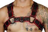 BULLDOG 1 1/4" HARNESS: RED