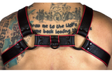 BULLDOG 1 1/4" HARNESS: RED