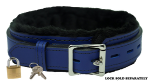 Locking Collar 1 1/2" Wide Blue Leather with Black Faux Fur Lining