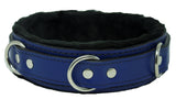 Locking Collar 1 1/2" Wide Blue Leather with Black Faux Fur Lining