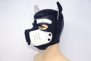 Puppy Neoprene Hood White