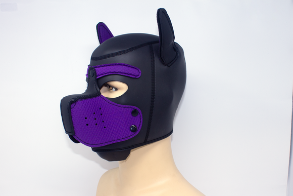 Puppy Neoprene Hood Purple