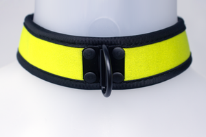 Neoprene Collar Yellow